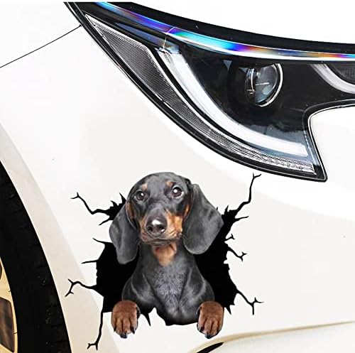 מדבקות מכוניות של איקאסוס, מדבקות מכוניות כלבים חבילה של מדבקות רכב מדבקות מכוניות 4,3D לכלב, מדבקות פגוש חלון רכב מדבקות כלבים, מדבקות